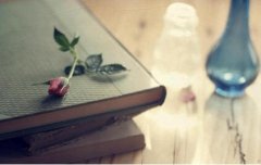 <b>QҪĸУ̲һλ</b>